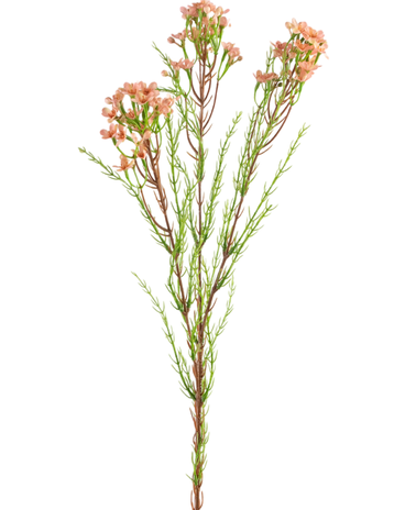 Greenmoods Kunsttak Waxflower 78 cm roze