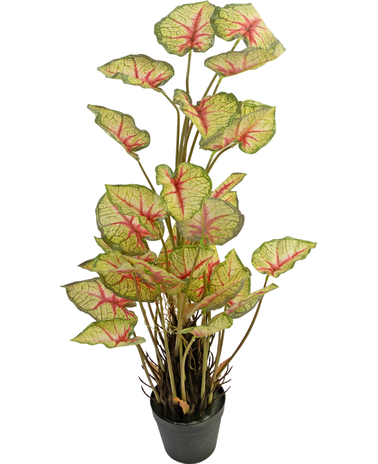 Greenmoods Kunstplant Caladium 90 cm rood