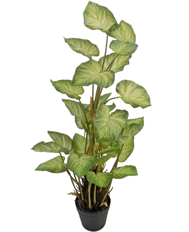 Greenmoods Kunstplant Alocasia Odora 90 cm