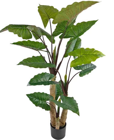 Greenmoods Kunstplant Calocasia 210 cm