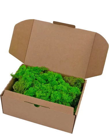 Norske Moseprodukter AS Rendier Mos Grass Green Light 500 gram