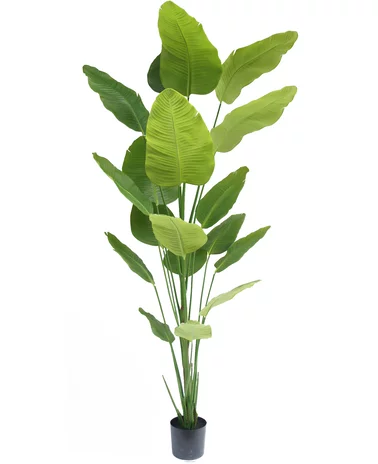 Greenmoods Kunstplant Strelitzia 240 cm real touch