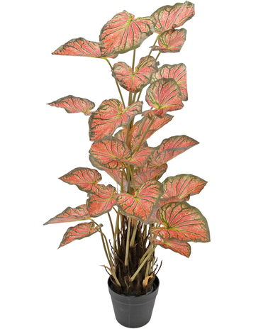 Greenmoods Kunstplant Caladium 90 cm roze