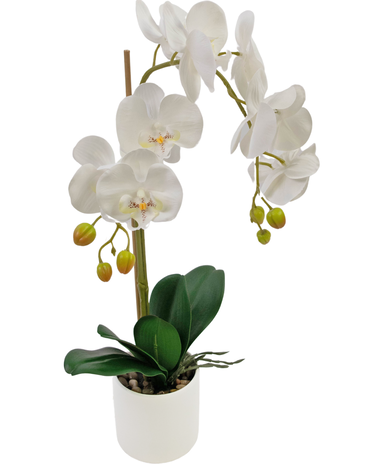 Greenmoods Kunst Orchidee 52 cm wit in witte pot