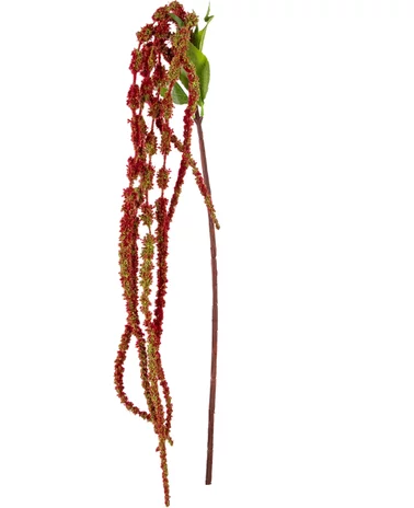 Greenmoods Kunstbloem Amaranthus 122 cm wijnrood