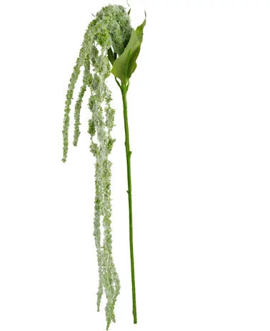 Greenmoods Kunstbloem Amaranthus 124 cm groen