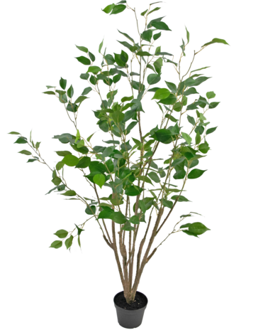 Greenmoods Kunstplant Ficus 120 cm