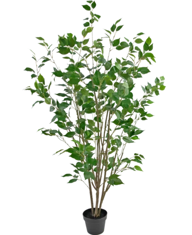 Greenmoods Kunstplant Ficus 150 cm