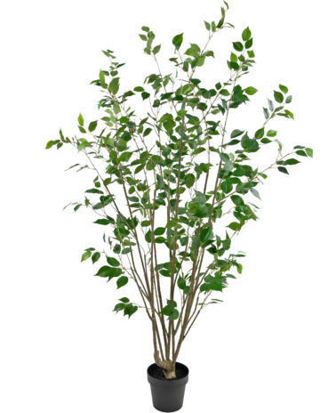 Greenmoods Kunstplant Ficus 180 cm