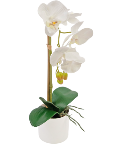 Greenmoods Kunst Orchidee 42 cm wit in witte pot