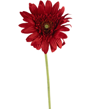 Greenmoods Kunstbloem Gerbera 53 cm rood