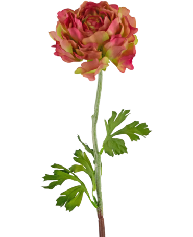 Greenmoods Kunstbloem Ranunculus 51 cm roze/groen
