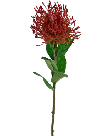 Greenmoods Kunstbloem Protea 73 cm rood