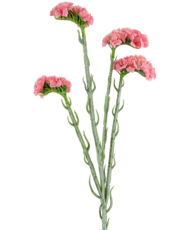 Greenmoods Kunsttak Statice 64 cm roze