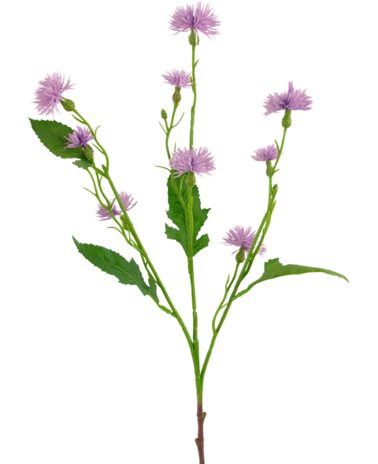 Greenmoods Kunstbloem Daisy Spray 54 cm lila