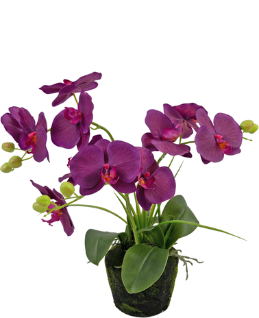 Greenmoods Kunst Orchidee 43 cm aubergine