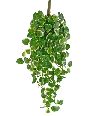 Greenmoods Kunsthangplant Pumila 50 cm