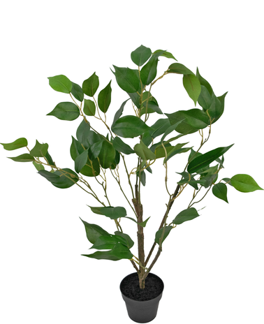 Greenmoods Kunstplant Ficus 60 cm