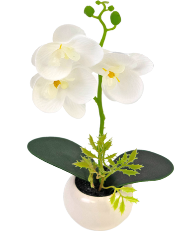 Greenmoods Kunst Orchidee 28 cm wit in pot