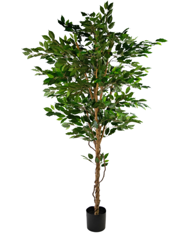Greenmoods Kunstplant Ficus Groen 210 cm