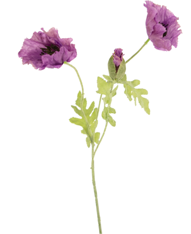 Greenmoods Kunstbloem Poppy 73 cm lila