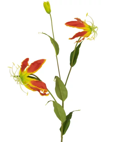 Greenmoods Kunstbloem Gloriosa 81 cm rood/geel