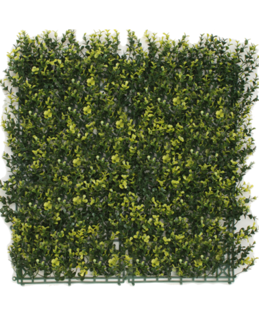 Greenmoods Kunsthaag Buxus geel 50x50 cm UV