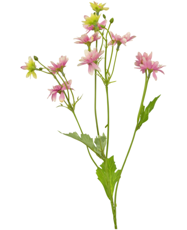 Greenmoods Kunstbloem Madelief 55 cm roze