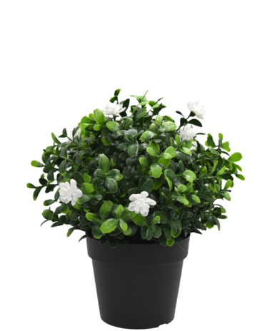 Greenmoods Kunstplant Pumila in pot 21cm UV