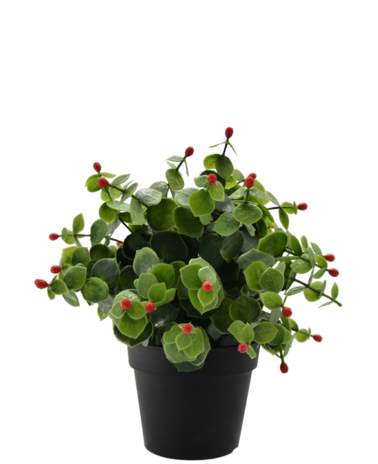 Greenmoods Kunstplant Eucalyptus rood in pot 22 cm UV