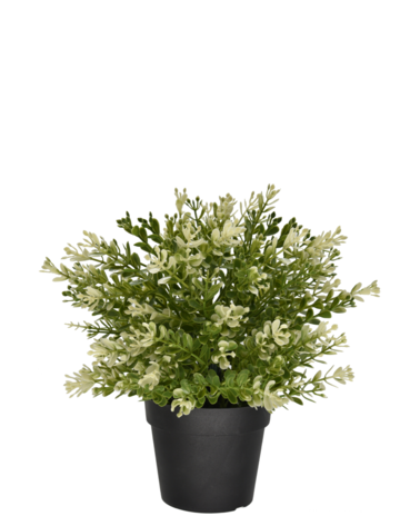 Greenmoods Kunstplant Buxus in pot 23 cm UV