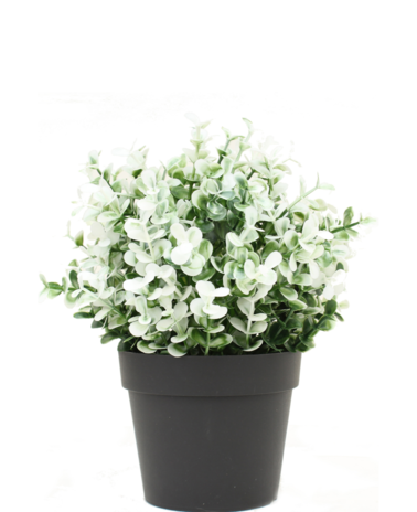 Greenmoods Kunstplant Buxus wit in pot 19 cm UV