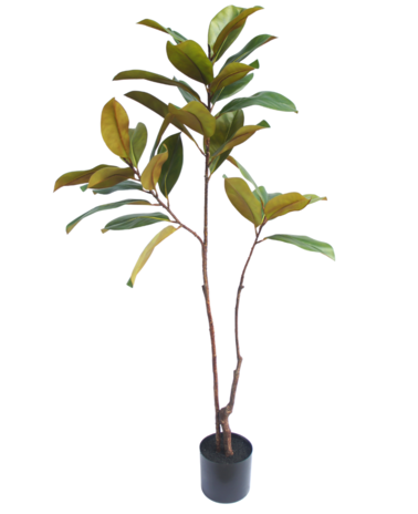Greenmoods Kunstplant Yulaniaboom 120 cm