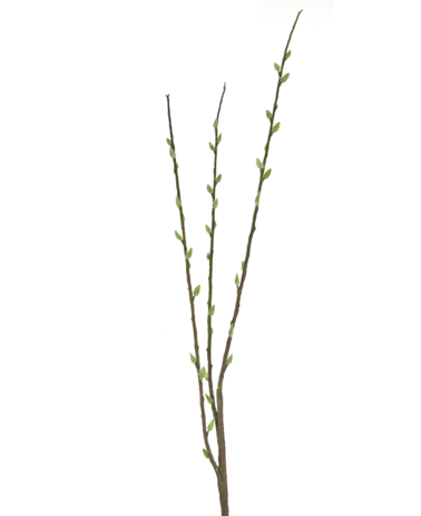 Greenmoods Kunstbloem Salix willow 70 cm