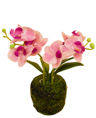 Greenmoods Kunst Orchidee 22 cm roze