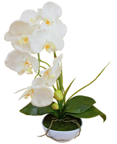 Greenmoods Kunst Orchidee 50 cm wit in pot