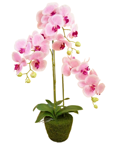 Greenmoods Kunst Orchidee 85 cm roze