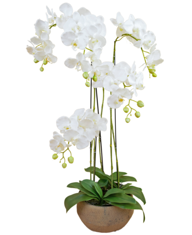 Greenmoods Kunst Orchidee 118 cm wit in pot