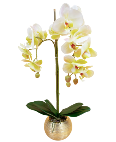 Greenmoods Kunst Orchidee 56cm crème in gouden pot