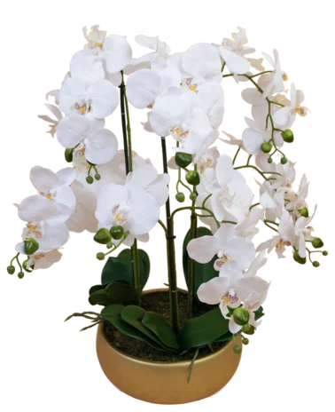 Greenmoods Kunst Orchidee 65 cm wit in gouden schaal