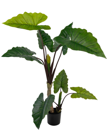 Greenmoods Kunstplant Calocasia 150 cm