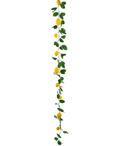 Greenmoods Kunst Hangplant Slinger Citroen 180 cm