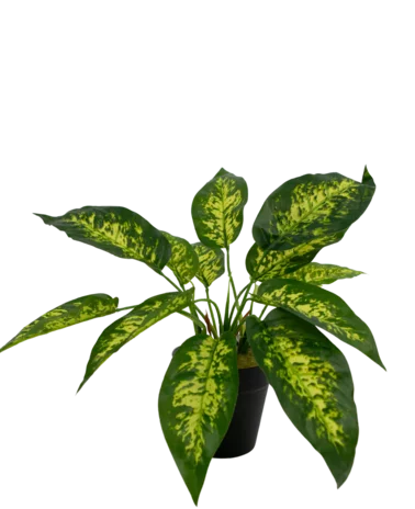 Greenmoods Kunstplant Anthurium  25 cm