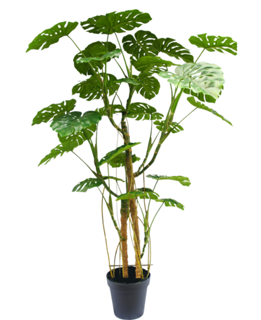 Greenmoods Kunstplant Monstera 240 cm