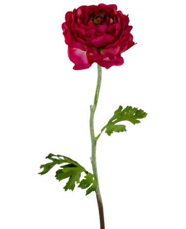 Greenmoods Kunstbloem Ranunculus 51 cm donkerroze