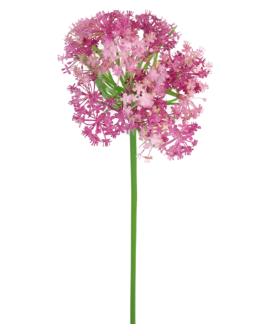 Greenmoods Kunstbloem Allium 60 cm paars