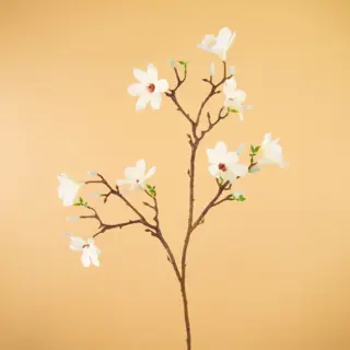 Kunst Magnolia