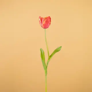 Kunst Tulpen van Easyplants