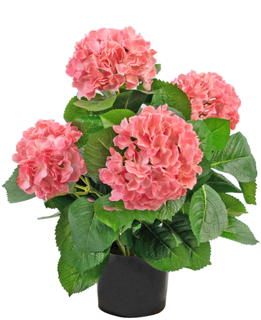 Greenmoods Kunstplant Hortensia 43 cm roze