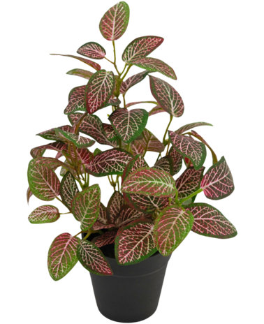Greenmoods Kunstplant Fittonia Rood in Pot 25cm
